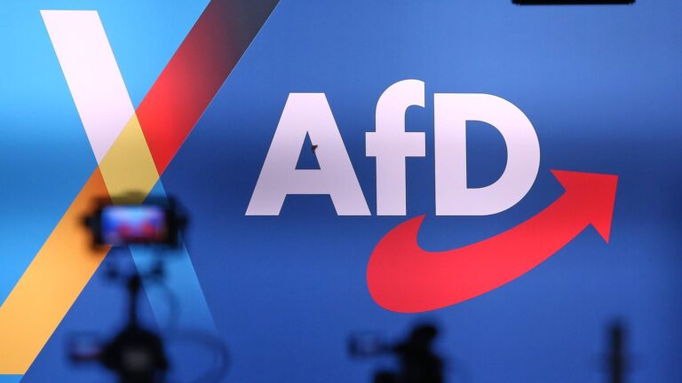 AfD Sachsen Anhalt vor historischer Wahl