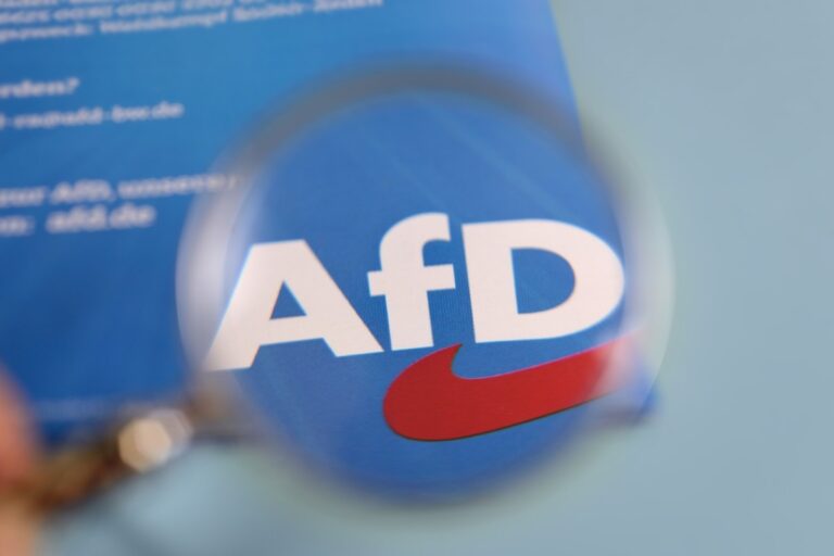 AfD Wahlen im September setzen Merz unter Druck