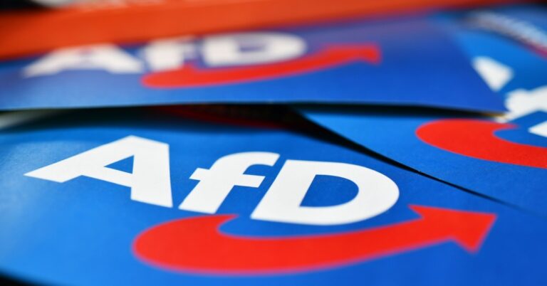 AfD Sachsen Anhalt sucht Regierungsmehrheit
