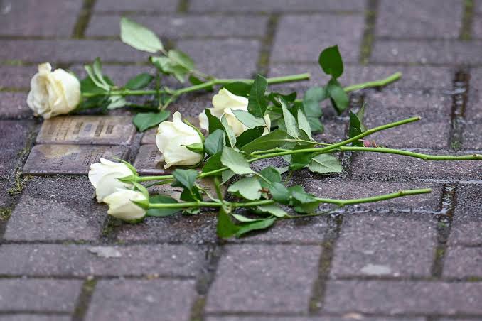 AfD CDU Stolpersteine Streit in Heidenau AfD CDU Stolpersteine Streit in Heidenau