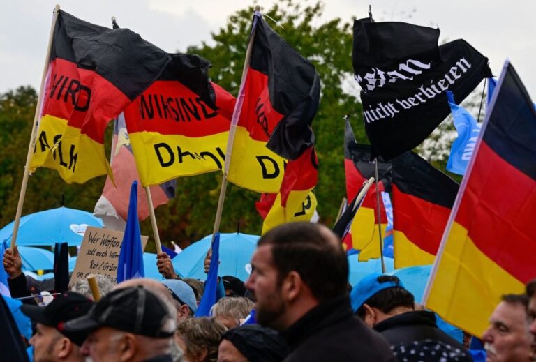 AfD Wahlsieg in Sachsen Anhalt